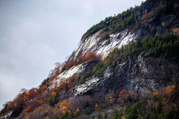 rocks in the autumn