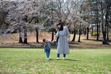 桜の咲く公園を子供と一緒に散歩する母親