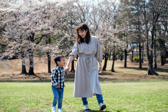 桜の咲く公園を子供と一緒に散歩する母親
