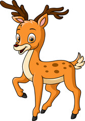 Cute deer cartoon on white background