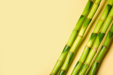 Bamboo branches on beige background