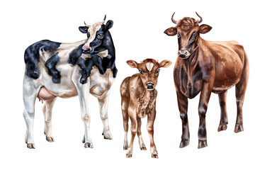 A set of three farm animals: a black and white cow, a red bull and a brown calf. For postcards, packaging design, textiles, booklets.
