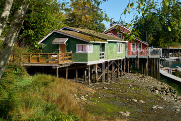 Telegraph Cove Shore Historic Buildings on Pilings. The Telegraph Cove marina and accommodations built on pilings surrounding this historic location.

