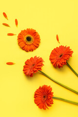 Beautiful gerbera flowers and petals on yellow background