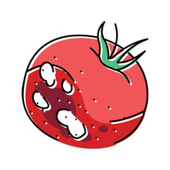 tomato rotten food color icon vector illustration