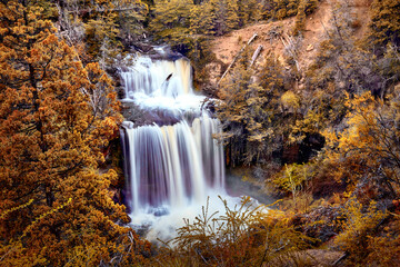 waterfall in mountain surrounded by golden trees in autumn