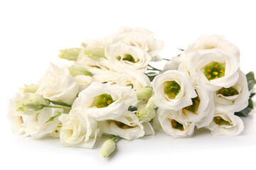 Bouquet of delicate eustoma flowers on white background, closeup