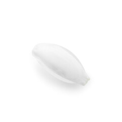 Beautiful snowdrop petal on white background