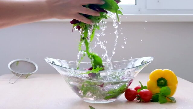 Super Slow Motion Shot of Flying Cuts of Colorful Vegetables and Water Drops Close up of hands people washing vegetables by tap water at the sink in kitchen to clean ingredient prepare a fresh salad