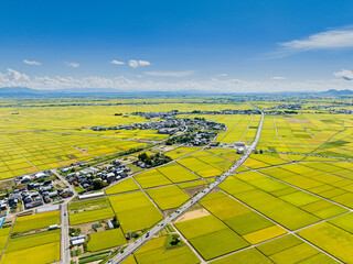 新潟県　越後平野　田園　秋