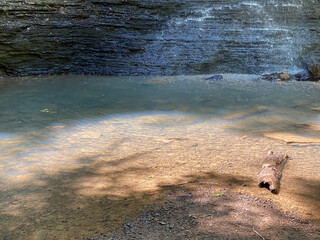 waterfall natural pool