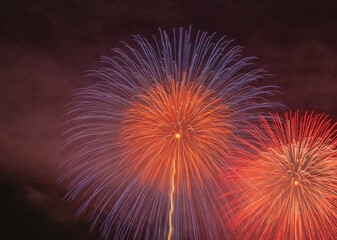 colorful fireworks closeups image. Japanese beautiful color design fireworks. Black backgrounds  