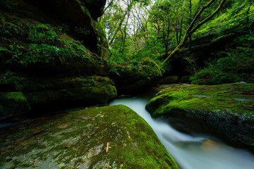 新潟県　荒川剣龍峡 © Masakazu Wakui
