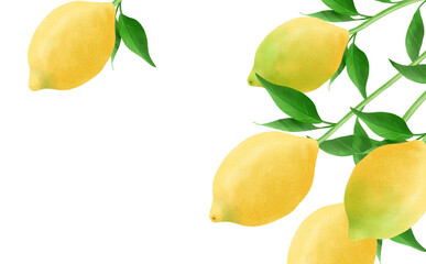 Frame of lemons with leaves white back, illustration material, with different colors