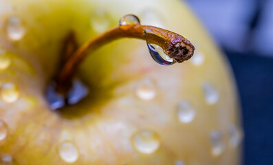 Apple with water drops close-up.