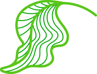 Golden leaves, art deco line. Graphic plant, foliage. Green organic. Tea drink