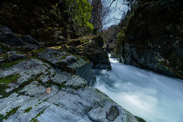 Obraz premium 五泉市 滝壺