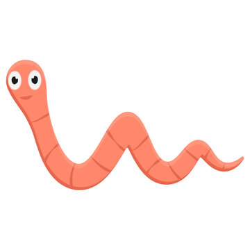 Worm Vector Png