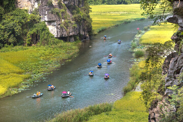 The boats carry tourists through the caves and rice fields on the Ngo Dong river at Tam Coc-Bich...