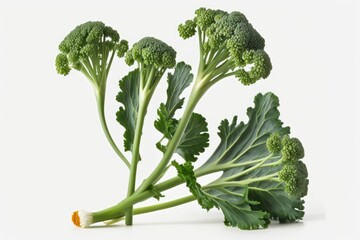 Tenderstem broccoli, cooked and presented in a group, against a white background. Generative AI