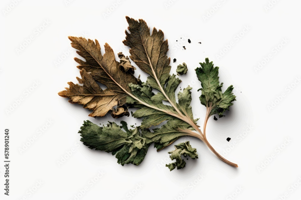 Canvas Prints a top down picture of dried parsley on a white background. generative ai