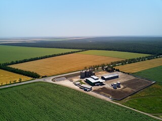Aerial of grain elevator in front of wheat field. Drone photo above flour mill or oil extraction plant, seed plant. Silos containers near farmland. Agriculture theme, a harvesting season. © artiemedvedev