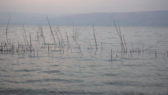 sea of galilee israel from the coast