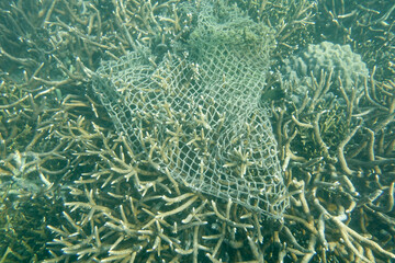 Fishing net cover on the coral reefs © tonguy324