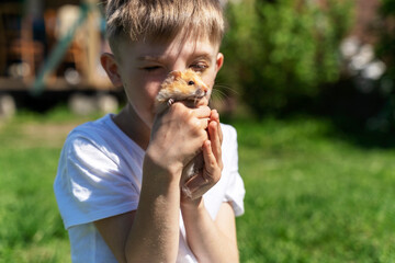 a boy holds a hamster in his hands in nature