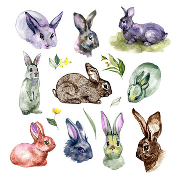 Watercolor collection dedicated to the holiday of Easter. Illustration of a rabbit, flowers, easter eggs, watering can isolated on a white background. Pictures for your design and print.