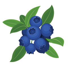 Blueberry fruit pattern texture wallpaper vector design polka illustration color blue shape