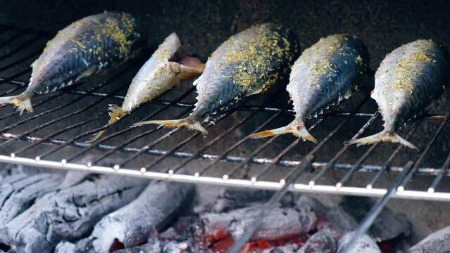 Cooking mackerel fish  on a grill barbecue