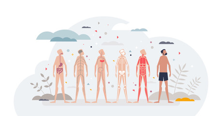 Anatomy layers as human inner systems type examples tiny person concept, transparent background. Knowledge, study and science about body organs, nerves, blood circulation.