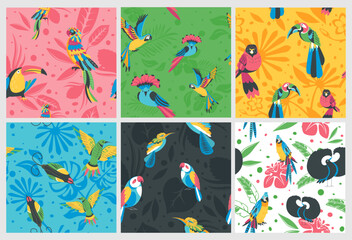 Exotic bird decoration at pattern design set
