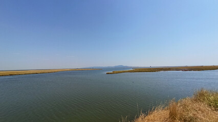Delta Evros National Park, Evros Thraki Greece