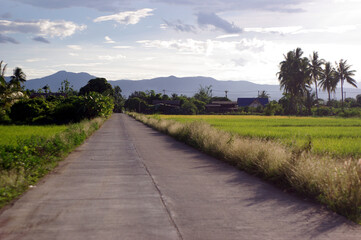path in the countryside