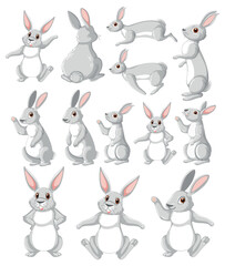 Cute rabbit cartoon character collection