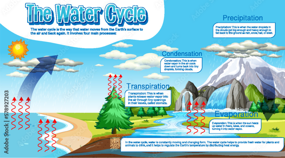 Wall mural the water cycle diagram for science education