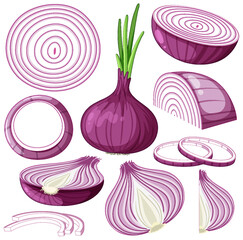 Set red shallot isolated