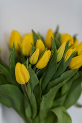 Bouquet of yellow flowers tulips against a white wall.	