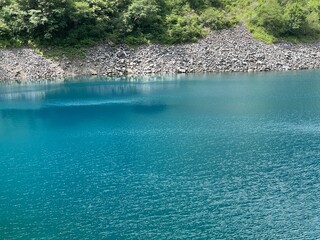 lake in the forest