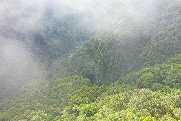 Panoramic view of a rainforest valley on Flores surrounded by a dense layer of haze clouds.