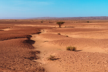 Fototapeta na wymiar desertic Moroccan landscape near erg chegaga