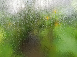Foggy window glass with green nature background