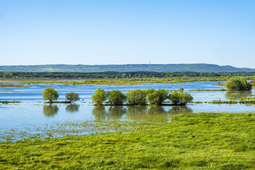 Lake with a flood meadow in a beautiful landscape
