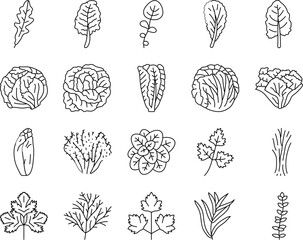 salad food healthy green fresh icons set vector