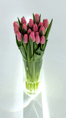 Bouquet of pink unopened tulips in a transparent vase on a white background.