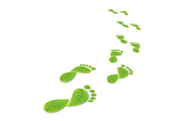 green leaf growing footprints, co2 symbol isolated on White Background. Reduce CO2 emission concept.Clean and friendly environment without carbon dioxide emissions.