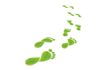 green leaf growing footprints, co2 symbol isolated on White Background. Reduce CO2 emission concept.Clean and friendly environment without carbon dioxide emissions.