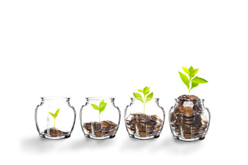 Growing Plants in money in the glass. on transparent background with clipping path, - Investment and Interest Ideas. Money growing plant with fiery light effect - money growing concept.